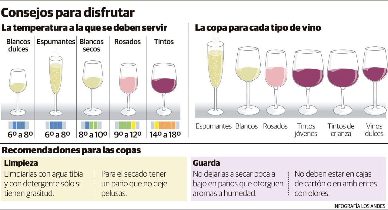 Caracteristicas de una copa de vino